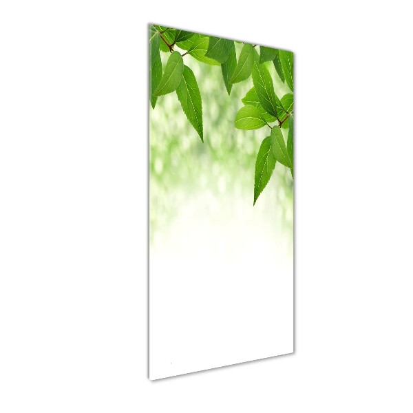 Cuadro de vidrio templado 4mm para pared vertical hojas verdes