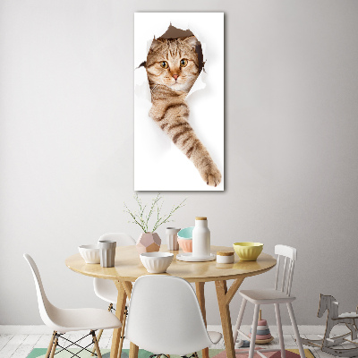 Cuadro decorativo en cristal con canto pulido vertical Gato