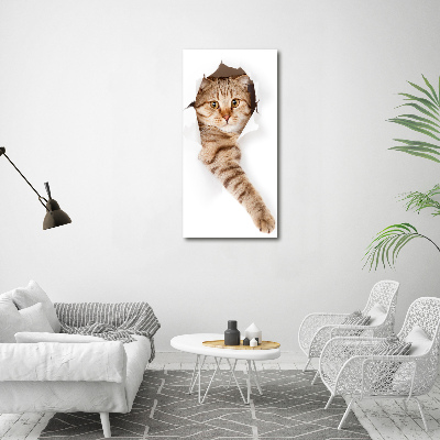 Cuadro decorativo en cristal con canto pulido vertical Gato