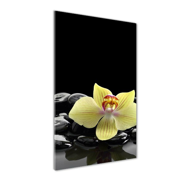 Cuadro decorativo en cristal con canto pulido vertical Orquídea y piedras