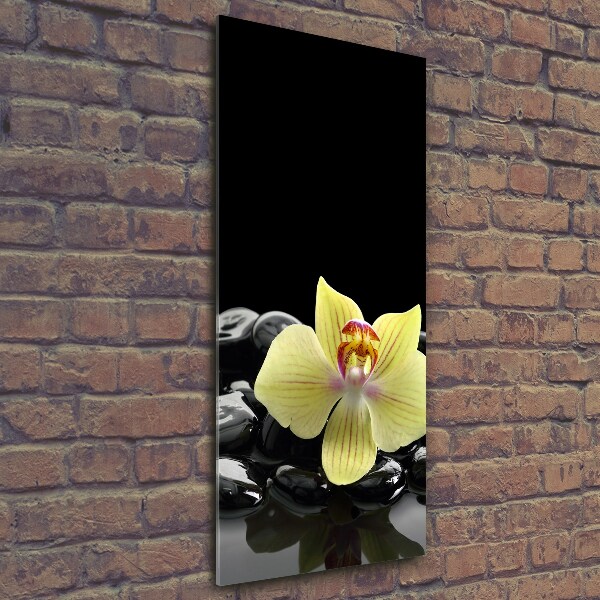 Cuadro decorativo en cristal con canto pulido vertical Orquídea y piedras