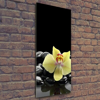Cuadro decorativo en cristal con canto pulido vertical Orquídea y piedras
