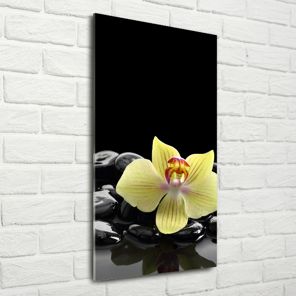 Cuadro decorativo en cristal con canto pulido vertical Orquídea y piedras