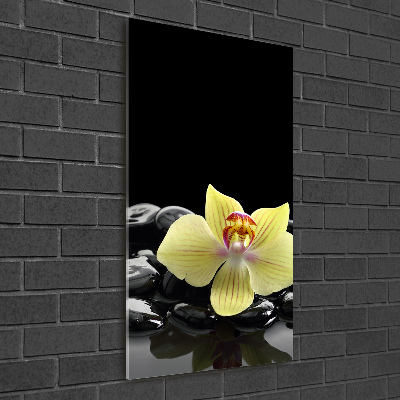 Cuadro decorativo en cristal con canto pulido vertical Orquídea y piedras