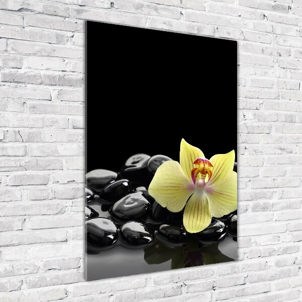 Cuadro decorativo en cristal con canto pulido vertical Orquídea y piedras