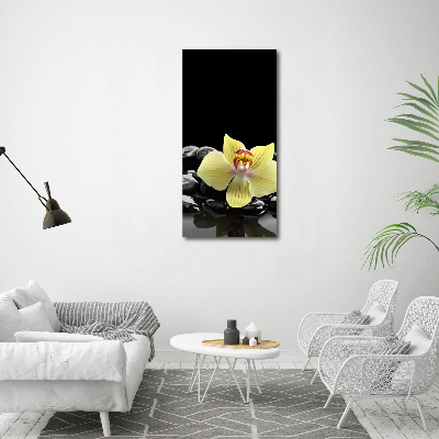 Cuadro decorativo en cristal con canto pulido vertical Orquídea y piedras