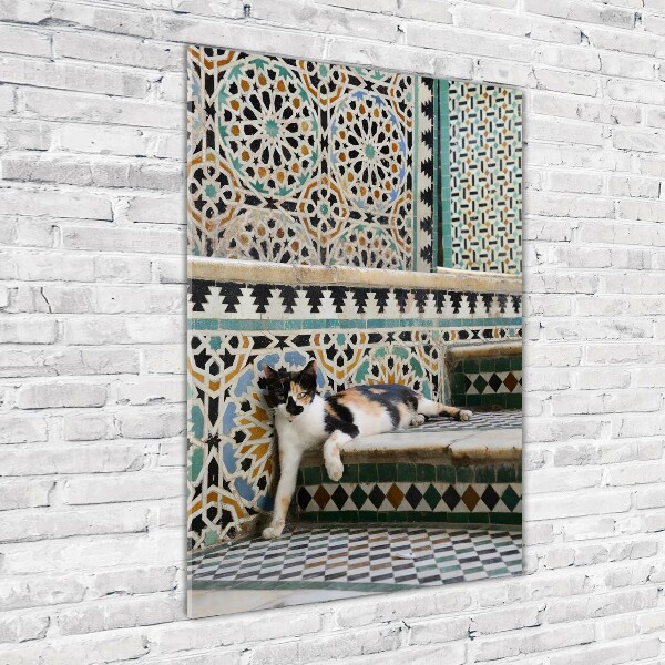 Fotocuadro de cristal elegante para hogar vertical Un gato en Marruecos