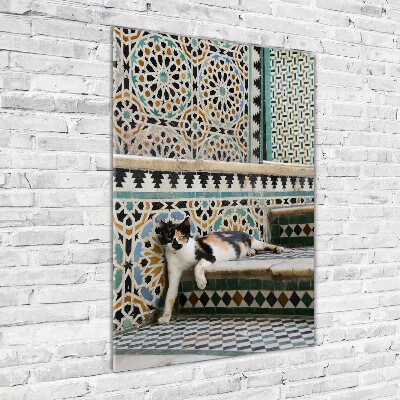Fotocuadro de cristal elegante para hogar vertical Un gato en Marruecos