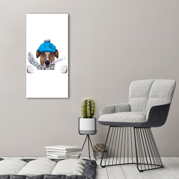 Fotocuadro de cristal elegante para hogar vertical perro enfermo