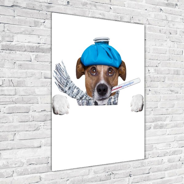Fotocuadro de cristal elegante para hogar vertical perro enfermo