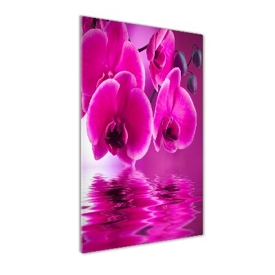 Cuadro de vidrio templado 4mm para pared vertical Orquídea rosa