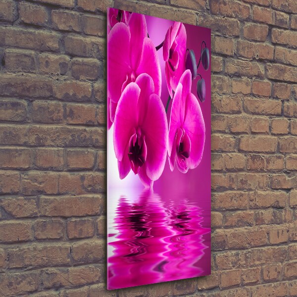 Cuadro de vidrio templado 4mm para pared vertical Orquídea rosa