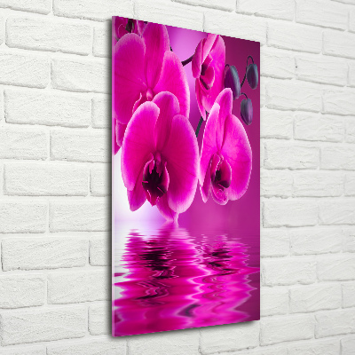 Cuadro de vidrio templado 4mm para pared vertical Orquídea rosa