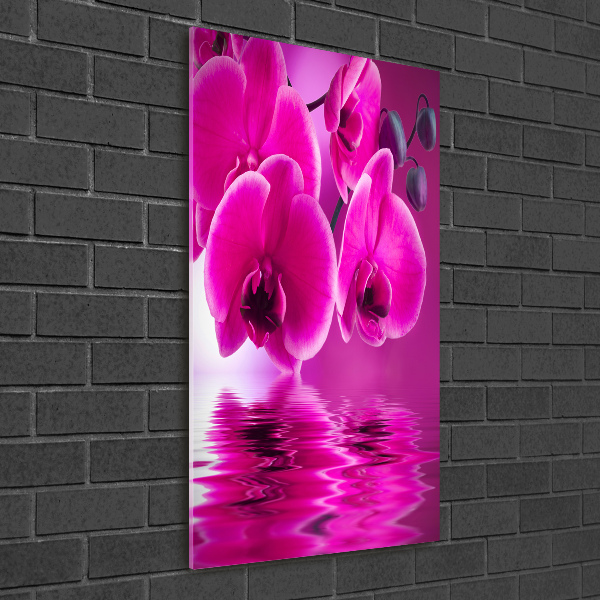 Cuadro de vidrio templado 4mm para pared vertical Orquídea rosa