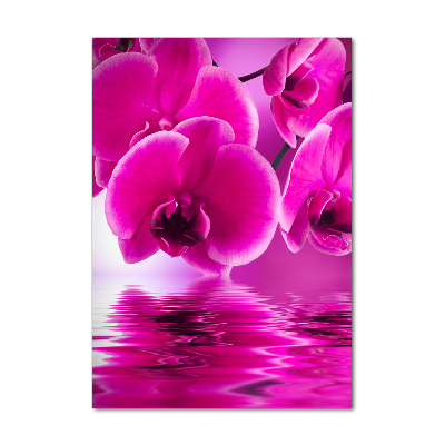 Cuadro de vidrio templado 4mm para pared vertical Orquídea rosa