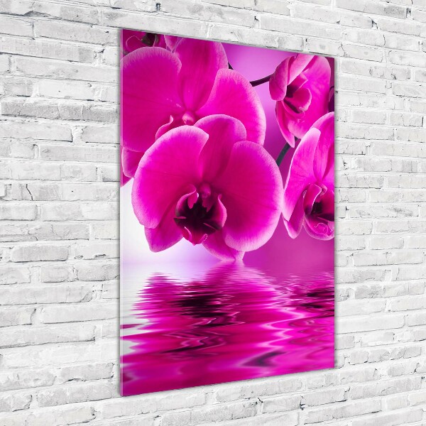 Cuadro de vidrio templado 4mm para pared vertical Orquídea rosa