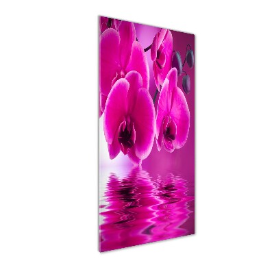 Cuadro de vidrio templado 4mm para pared vertical Orquídea rosa