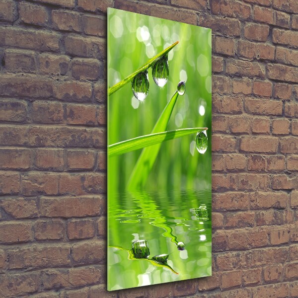 Cuadro de vidrio templado 4mm para pared vertical Briznas de hierba