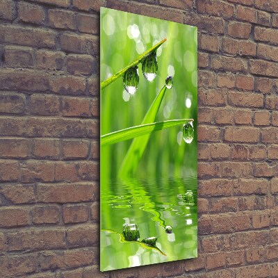 Cuadro de vidrio templado 4mm para pared vertical Briznas de hierba