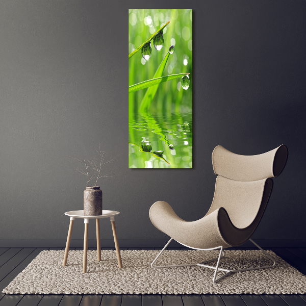 Cuadro de vidrio templado 4mm para pared vertical Briznas de hierba