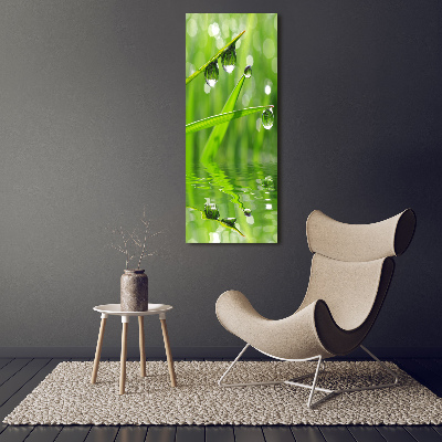 Cuadro de vidrio templado 4mm para pared vertical Briznas de hierba