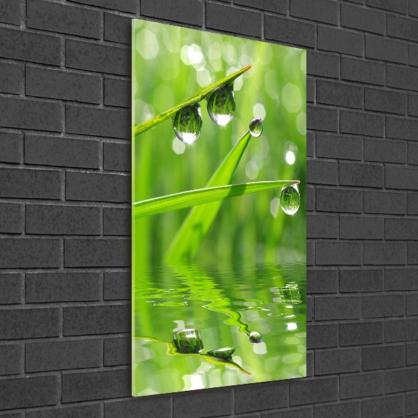 Cuadro de vidrio templado 4mm para pared vertical Briznas de hierba