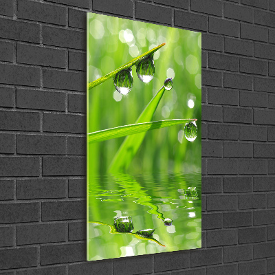 Cuadro de vidrio templado 4mm para pared vertical Briznas de hierba