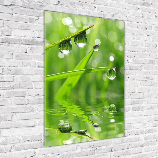 Cuadro de vidrio templado 4mm para pared vertical Briznas de hierba
