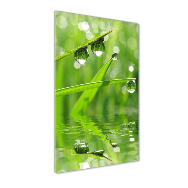 Cuadro de vidrio templado 4mm para pared vertical Briznas de hierba