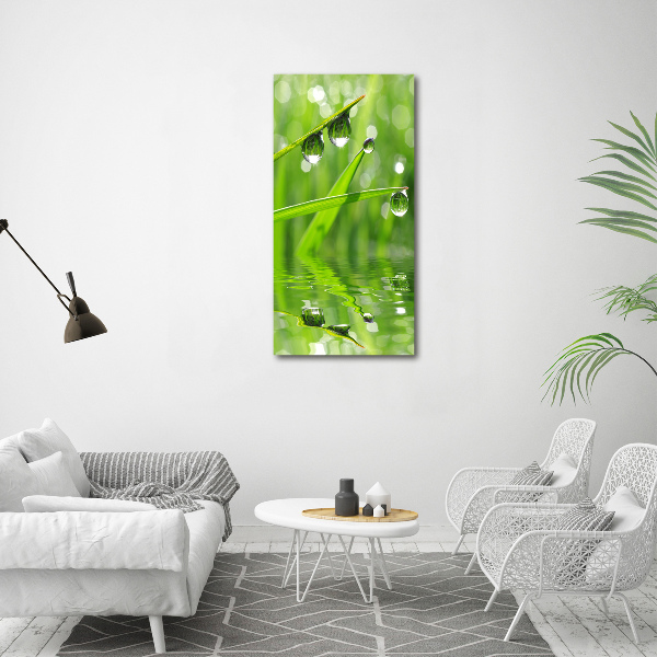 Cuadro de vidrio templado 4mm para pared vertical Briznas de hierba