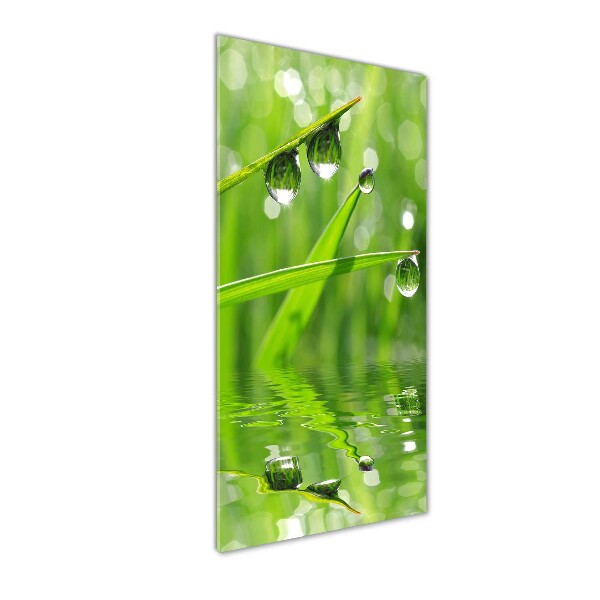 Cuadro de vidrio templado 4mm para pared vertical Briznas de hierba