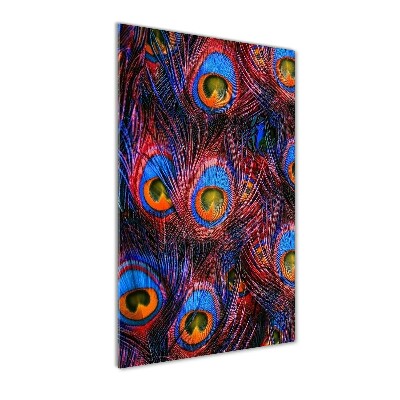 Cuadro decorativo en cristal con canto pulido vertical plumas de pavo real