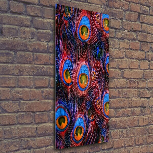 Foto obraz szkło hartowane pionowy Pawie pióra