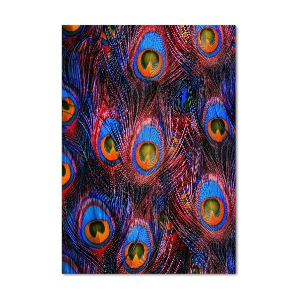 Cuadro decorativo en cristal con canto pulido vertical plumas de pavo real