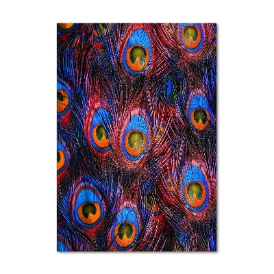 Cuadro decorativo en cristal con canto pulido vertical plumas de pavo real