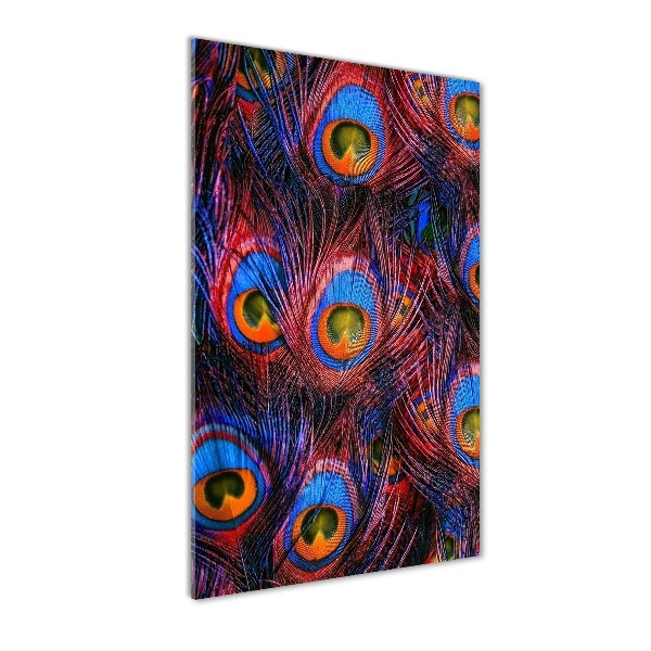 Cuadro decorativo en cristal con canto pulido vertical plumas de pavo real