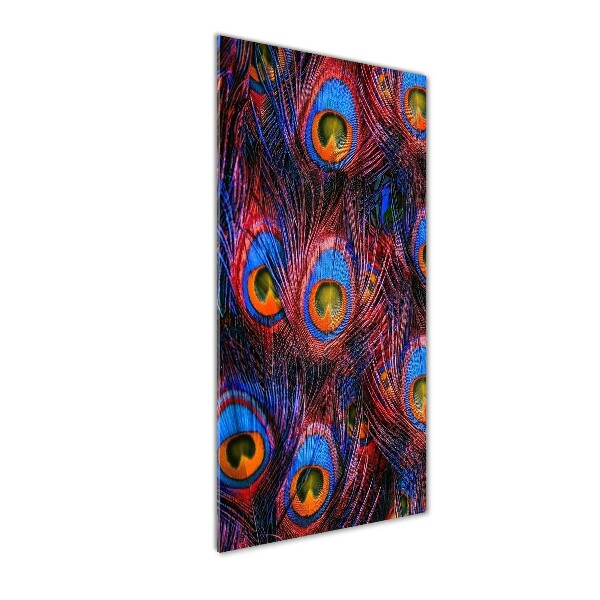 Cuadro decorativo en cristal con canto pulido vertical plumas de pavo real