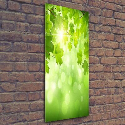 Cuadro de cristal moderno efecto brillo vertical hojas verdes