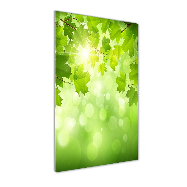 Cuadro de cristal moderno efecto brillo vertical hojas verdes