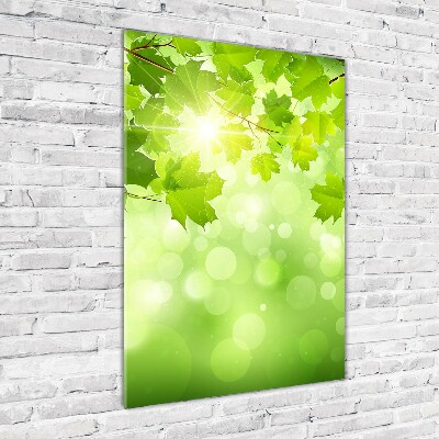Cuadro de cristal moderno efecto brillo vertical hojas verdes
