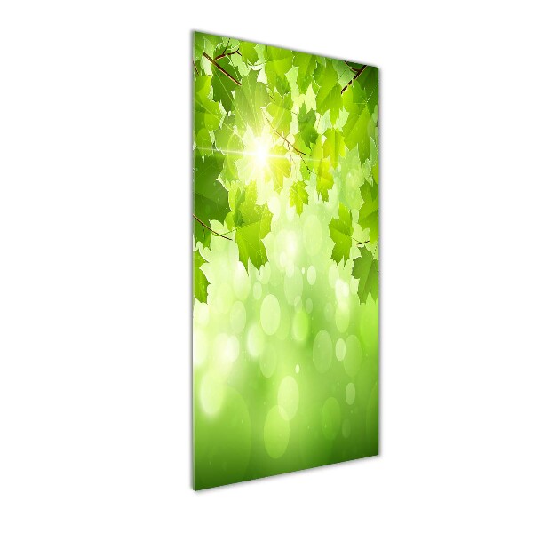 Cuadro de cristal moderno efecto brillo vertical hojas verdes