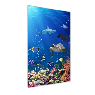 Cuadro de vidrio templado 4mm para pared vertical Arrecife de coral