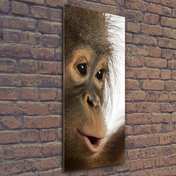 Fotocuadro de cristal elegante para hogar vertical Orangután joven