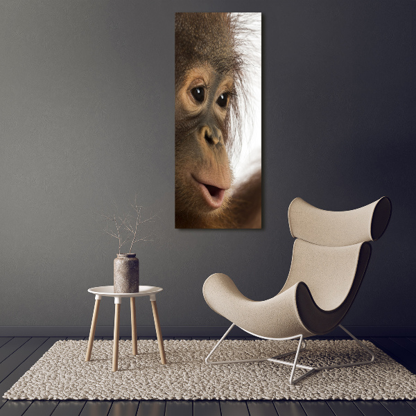 Fotocuadro de cristal elegante para hogar vertical Orangután joven