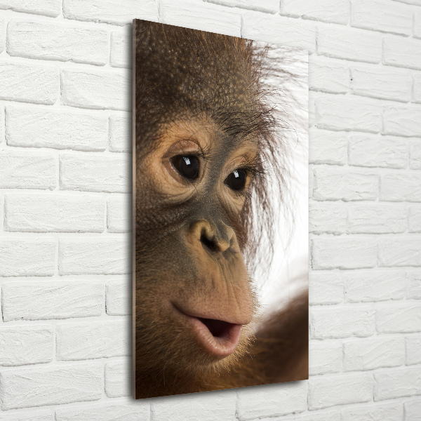 Fotocuadro de cristal elegante para hogar vertical Orangután joven
