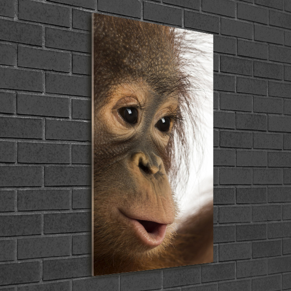 Fotocuadro de cristal elegante para hogar vertical Orangután joven