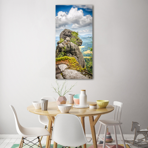 Foto obraz na szkle pionowy Szczeliniec Wielki