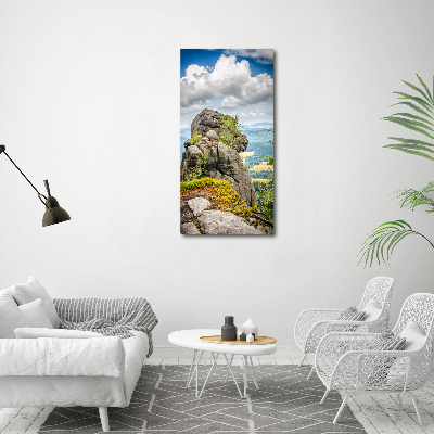 Foto obraz na szkle pionowy Szczeliniec Wielki