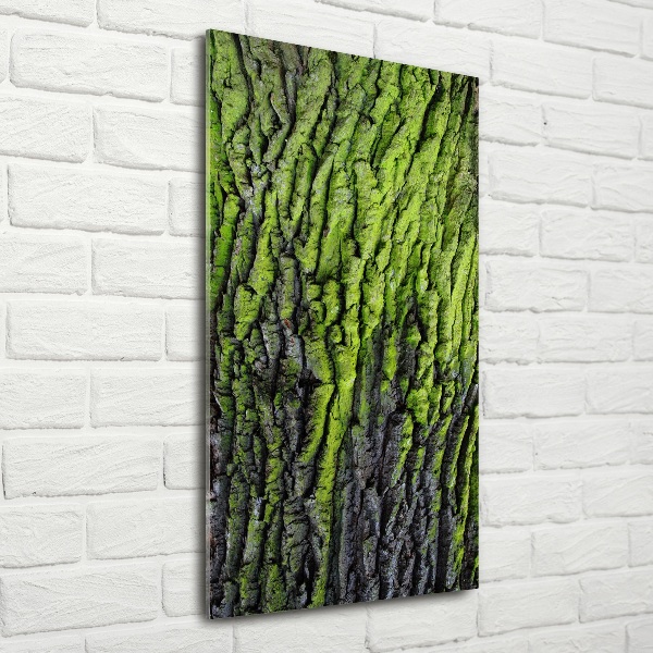 Fotocuadro de cristal elegante para hogar vertical corteza de árbol