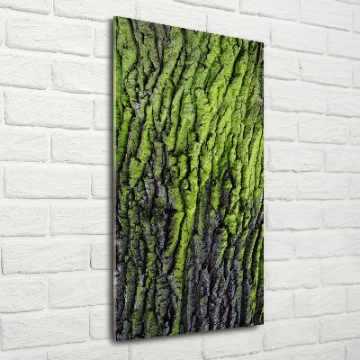 Fotocuadro de cristal elegante para hogar vertical corteza de árbol